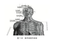 邱博士談武學：武文化與中華民族的興衰武術接手過程中距離和時間的計算