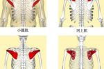 邱博士談武學(xué)：武學(xué)中小肌肉群、小關(guān)節(jié)與人體穩(wěn)定性