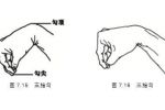 邱博士談武學(xué)：中國武術(shù)手型詳解——勾