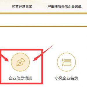 國家企業(yè)信用信息公示系統(tǒng)企業(yè)年報網(wǎng)上公示填寫說明