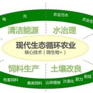 辦一個生態(tài)循環(huán)養(yǎng)殖農(nóng)場需要什么手續(xù)？申請流程是什么？