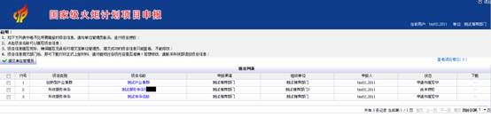 申報系統(tǒng)的項目列表界面