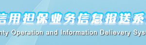 2018年中小企業(yè)信用擔(dān)保業(yè)務(wù)信息報(bào)送系統(tǒng)填報(bào)操作說(shuō)明 （最新）