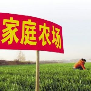 自辦家庭農(nóng)場政府有扶持政策嗎？