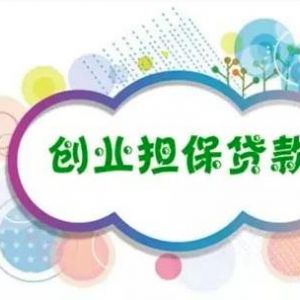 小微企業(yè)創(chuàng)業(yè)擔(dān)保貸款申請(qǐng)流程說明