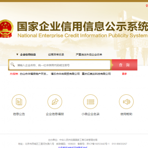 企業(yè)年報其他自行公式信息填報操作說明-【國家企業(yè)信用信息公示系統(tǒng)】