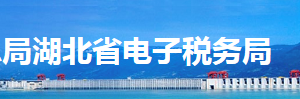 湖北省電子稅務局主要功能介紹