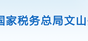 文山市稅務(wù)局辦稅服務(wù)廳辦公時(shí)間地址及咨詢(xún)電話(huà)