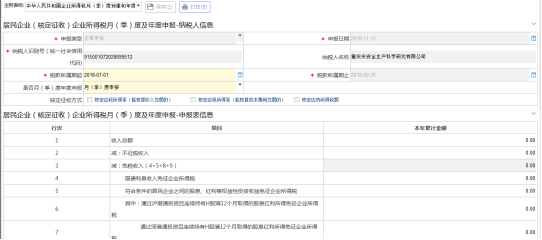 企業(yè)所得稅年度B類申報主界面