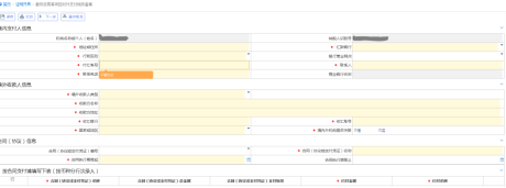 服務(wù)貿(mào)易等項(xiàng)目對外支付稅務(wù)備案界面
