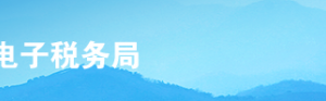 上海市電子稅務(wù)局非居民組織臨時登記操作流程說明