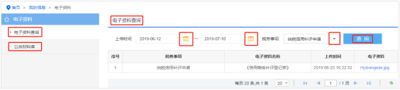 海南省電子稅務局電子資料