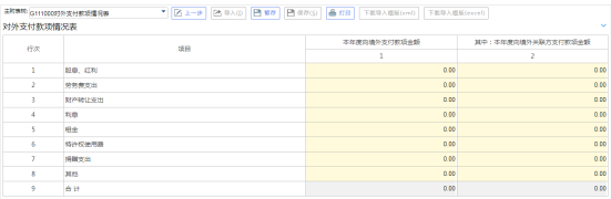 對外支付款項情況表