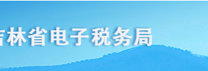 吉林省電子稅務(wù)局居民企業(yè)（查賬征收）企業(yè)所得稅年度申報(bào)填寫(xiě)說(shuō)明