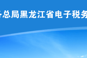 黑龍江省電子稅務(wù)局應(yīng)用系統(tǒng)技術(shù)服務(wù)咨詢電話