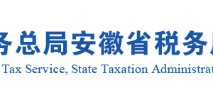 安徽省稅務(wù)局增值稅專用發(fā)票（增值稅稅控系統(tǒng)）最高開票限額審批（百萬元及以上）