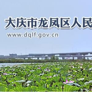 大慶市龍鳳區(qū)政務服務中心辦事大廳窗口預約咨詢電話