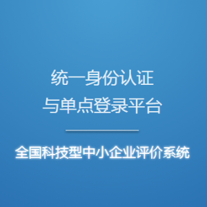 科技型中小企業(yè)信息表（模板）