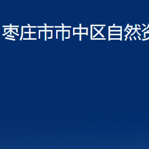 棗莊市市中區(qū)自然資源局各部門對(duì)外聯(lián)系電話