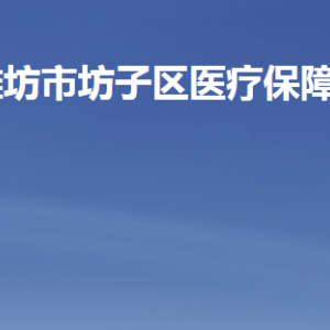 濰坊市坊子區(qū)醫(yī)療保障局各部門職責及聯(lián)系電話