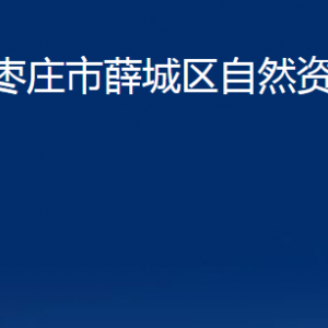 棗莊市薛城區(qū)自然資源局各部門對(duì)外聯(lián)系電話