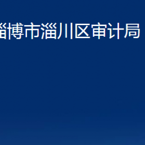 淄博市淄川區(qū)審計(jì)局各服務(wù)中心聯(lián)系電話(huà)