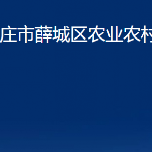 棗莊市薛城區(qū)農業(yè)農村局各部門對外聯(lián)系電話