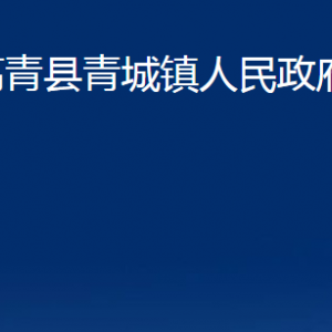 高青縣青城鎮(zhèn)人民政府各部門對外聯(lián)系電話