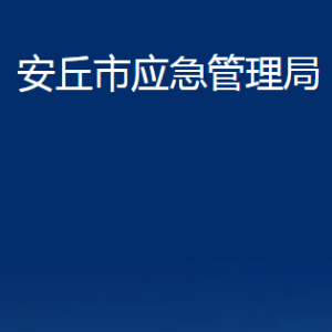 安丘市應(yīng)急管理局各部門對外聯(lián)系電話