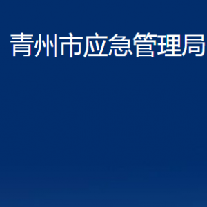 青州市應(yīng)急管理局各部門對外聯(lián)系電話