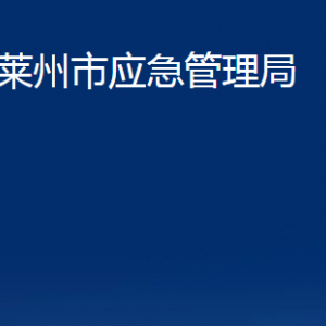 萊州市應(yīng)急管理局各部門對外聯(lián)系電話