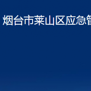 煙臺市萊山區(qū)應(yīng)急管理局各部門對外聯(lián)系電話