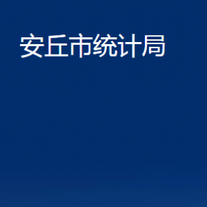 安丘市統(tǒng)計局各部門職責及聯系電話