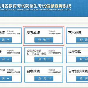 四川省教育考試院各部門(mén)業(yè)務(wù)咨詢電話