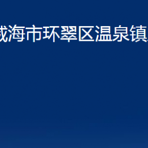 威海市環(huán)翠區(qū)溫泉鎮(zhèn)政府便民服務中心對外聯(lián)系電話