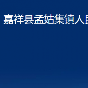 嘉祥縣孟姑集鎮(zhèn)政府為民服務(wù)中心對(duì)外聯(lián)系電話及地址