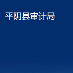 平陰縣審計(jì)局各部門(mén)職責(zé)及聯(lián)系電話