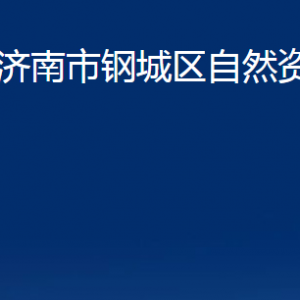 濟(jì)南市鋼城區(qū)自然資源局各部門職責(zé)及聯(lián)系電話