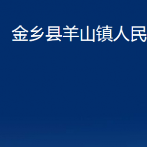 金鄉(xiāng)縣羊山鎮(zhèn)政府各部門職責及聯(lián)系電話