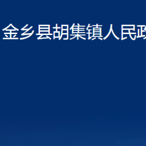 金鄉(xiāng)縣胡集鎮(zhèn)政府為民服務(wù)中心對外聯(lián)系電話及地址