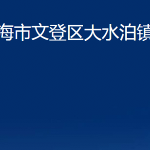 威海市文登區(qū)大水泊鎮(zhèn)政府便民服務(wù)中心對(duì)外聯(lián)系電話(huà)