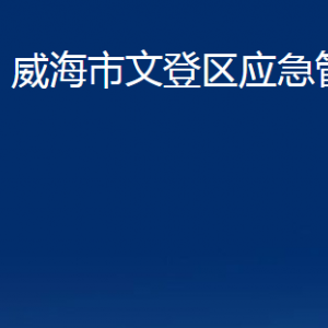 威海市文登區(qū)應急管理局各部門對外聯(lián)系電話