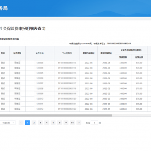 廣東省電子稅務局社保費網(wǎng)報系統(tǒng)社保費清繳操作指南