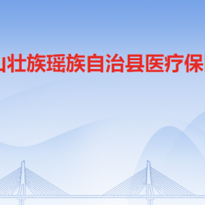 連山縣衛(wèi)生健康局大樓?醫(yī)療保障局1樓辦事大廳咨詢電話