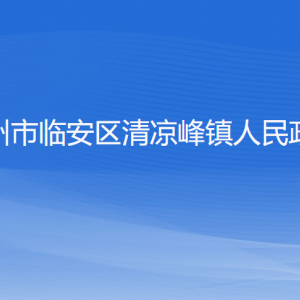 杭州市臨安區(qū)清涼峰鎮(zhèn)政府各部門負責人和聯(lián)系電話