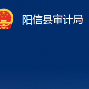 陽(yáng)信縣審計(jì)局各部門(mén)職責(zé)及對(duì)外聯(lián)系電話(huà)辦公時(shí)間