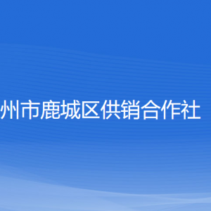 溫州市鹿城區(qū)供銷(xiāo)合作社各部門(mén)負(fù)責(zé)人和聯(lián)系電話(huà)