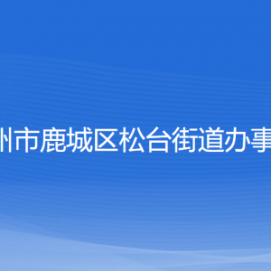 溫州市鹿城區(qū)松臺(tái)街道辦事處各部門負(fù)責(zé)人和聯(lián)系電話