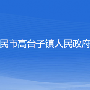 新民市高臺(tái)子鎮(zhèn)政府各部門負(fù)責(zé)人和聯(lián)系電話