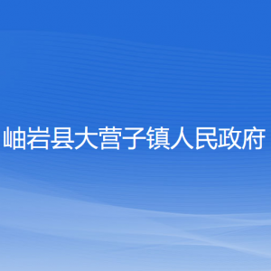 岫巖縣大營(yíng)子鎮(zhèn)人民政府各部門負(fù)責(zé)人和聯(lián)系電話